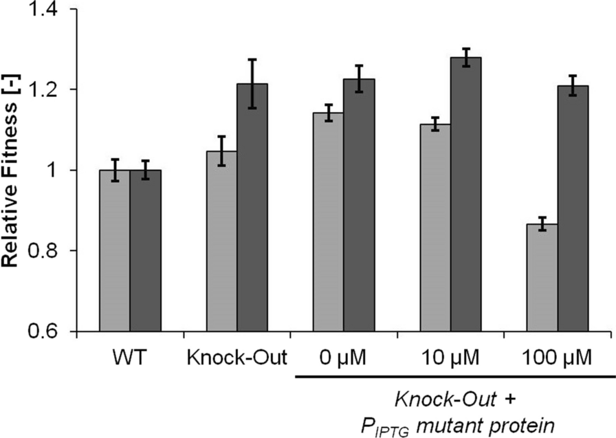 Fig. 4