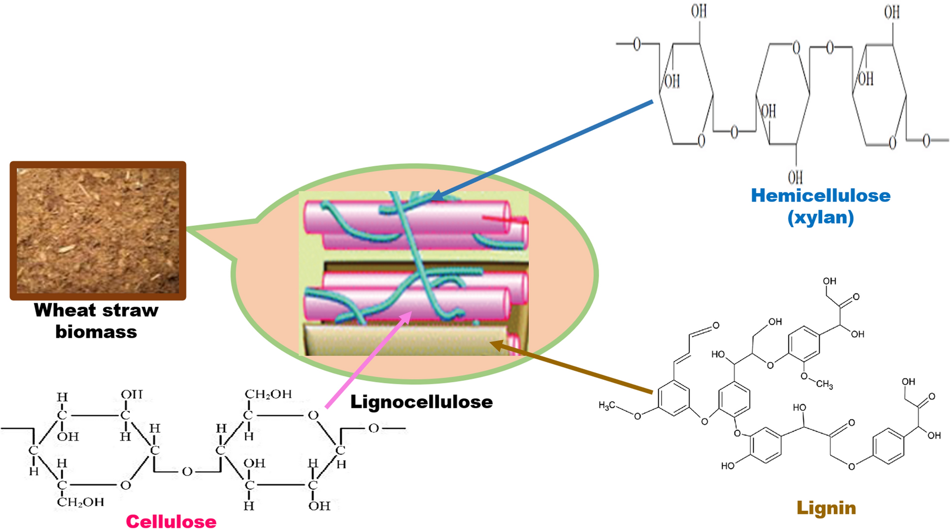 Fig. 1