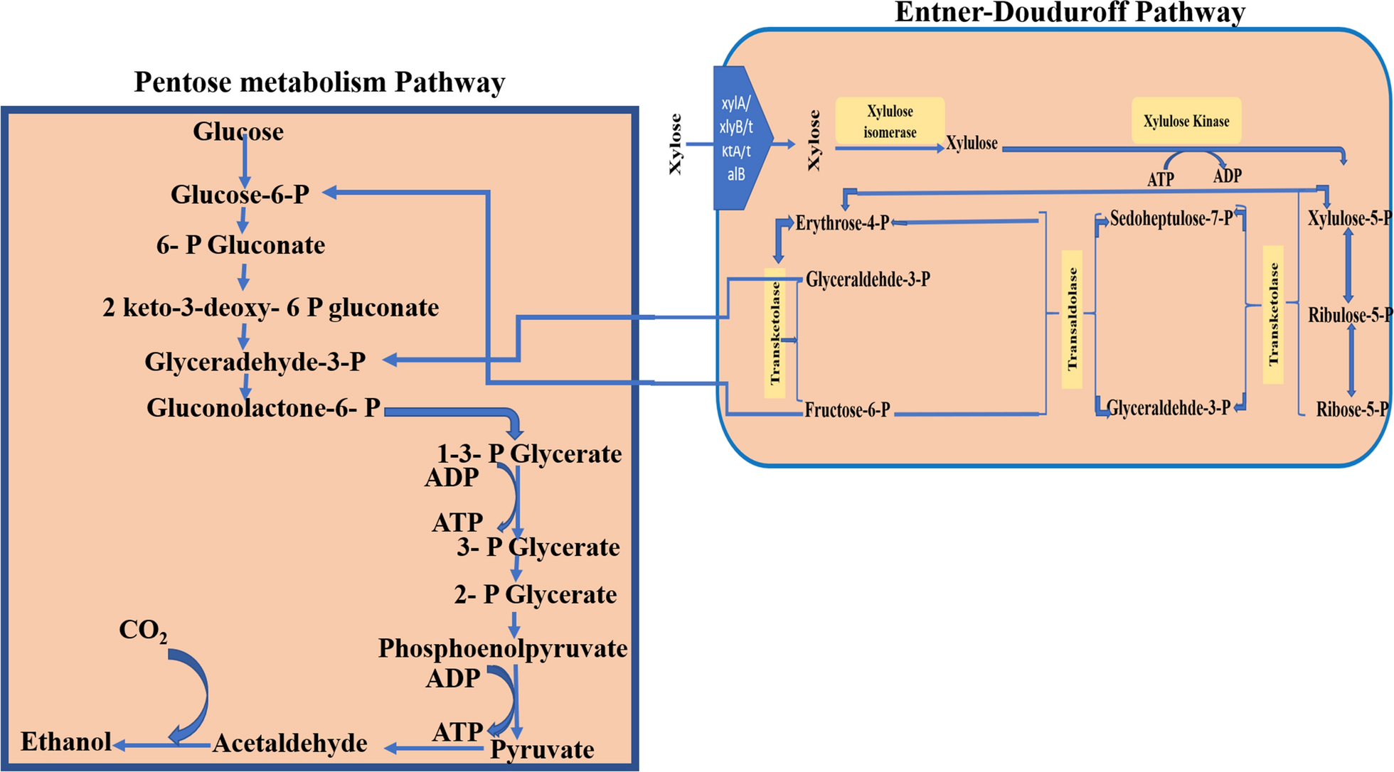 Fig. 4