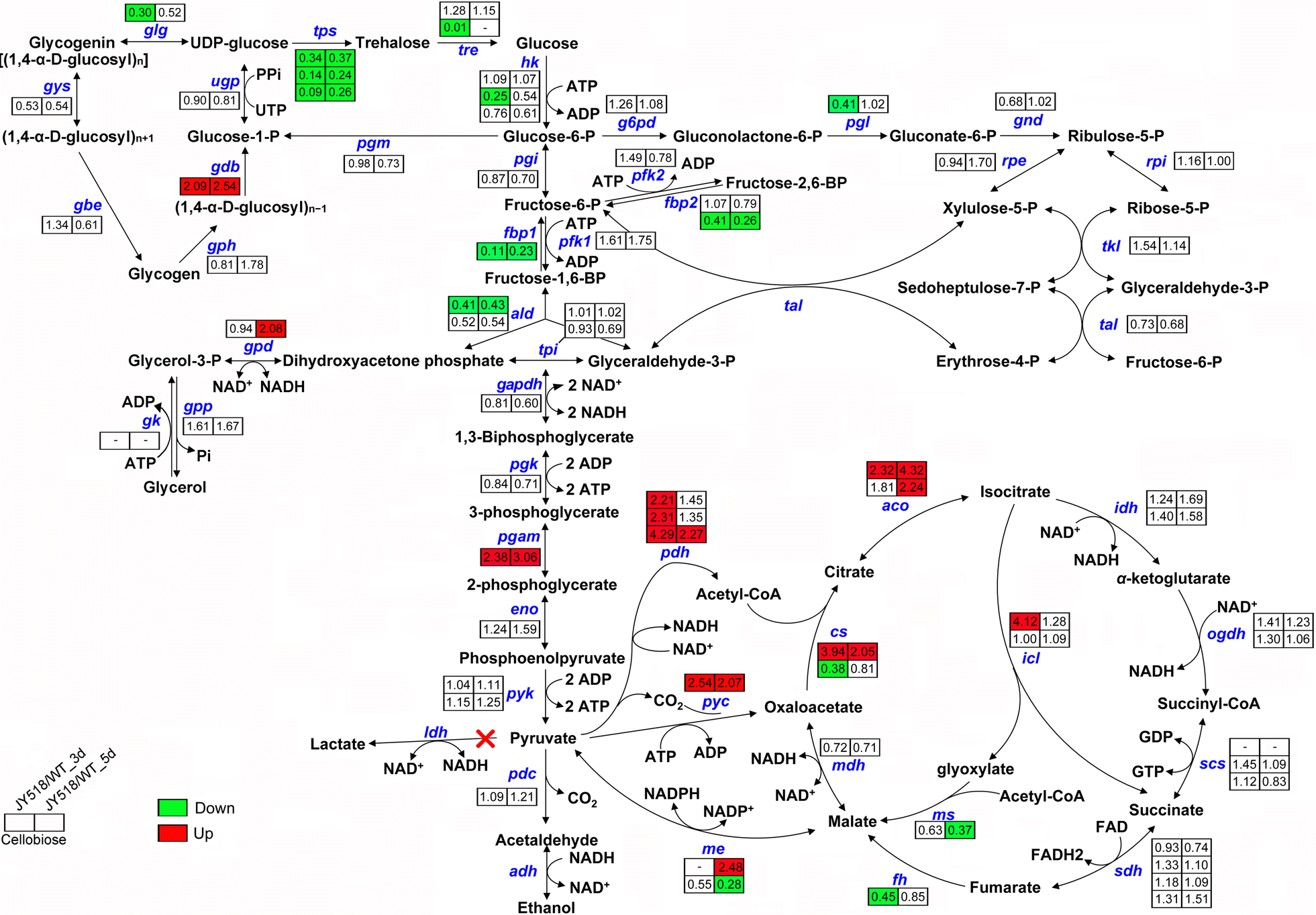 Fig. 7