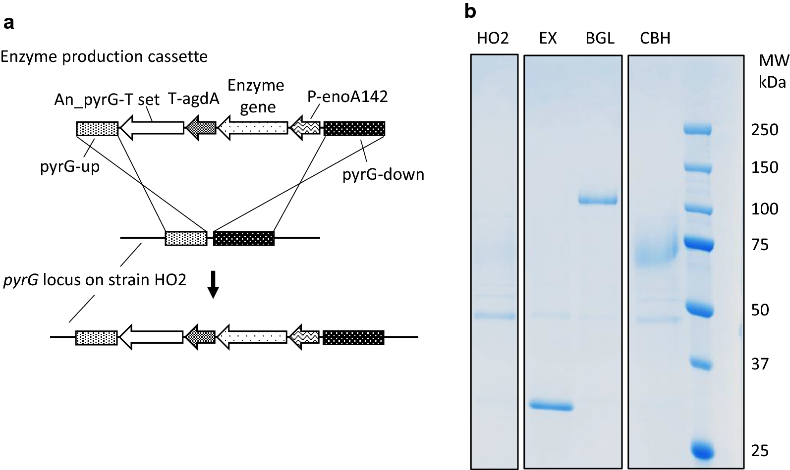 Fig. 5