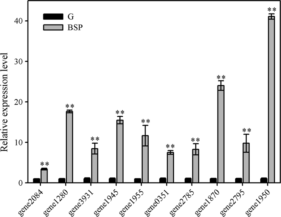 Fig. 4