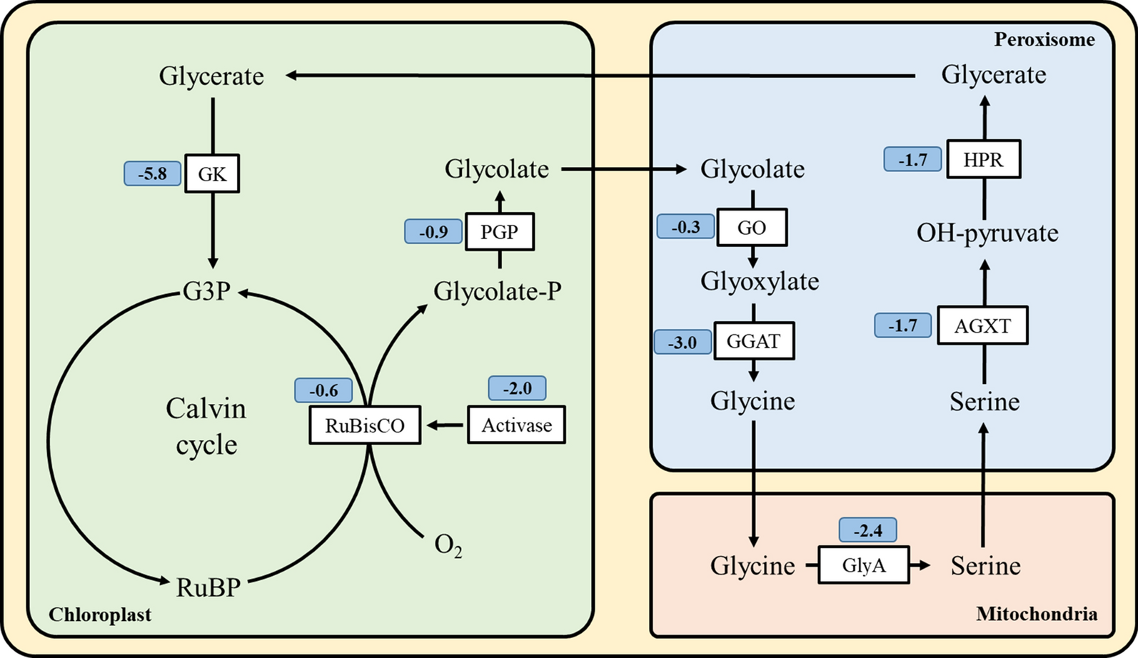 Fig. 4