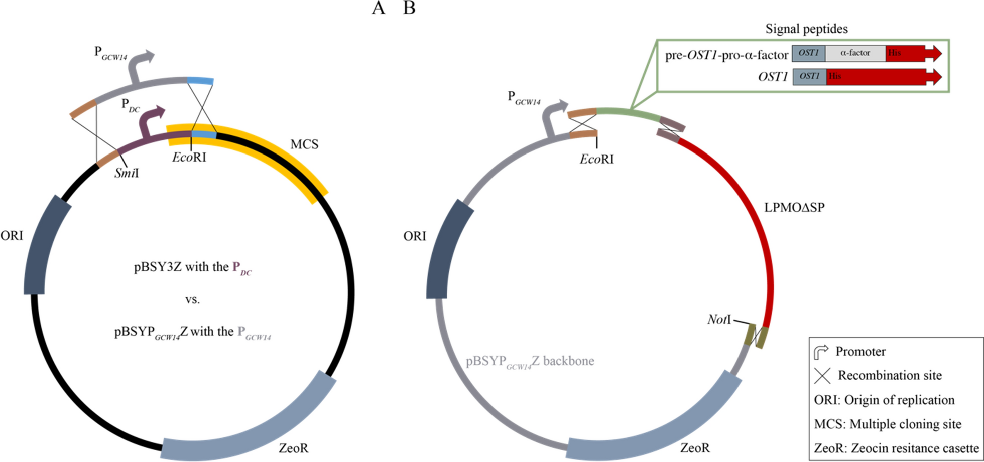 Fig. 8