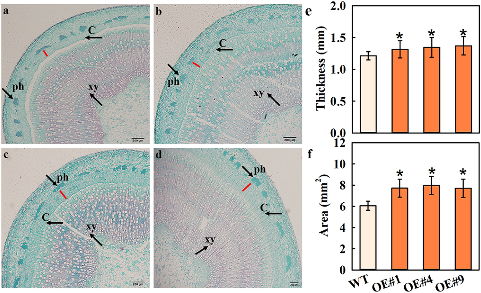 Fig. 8