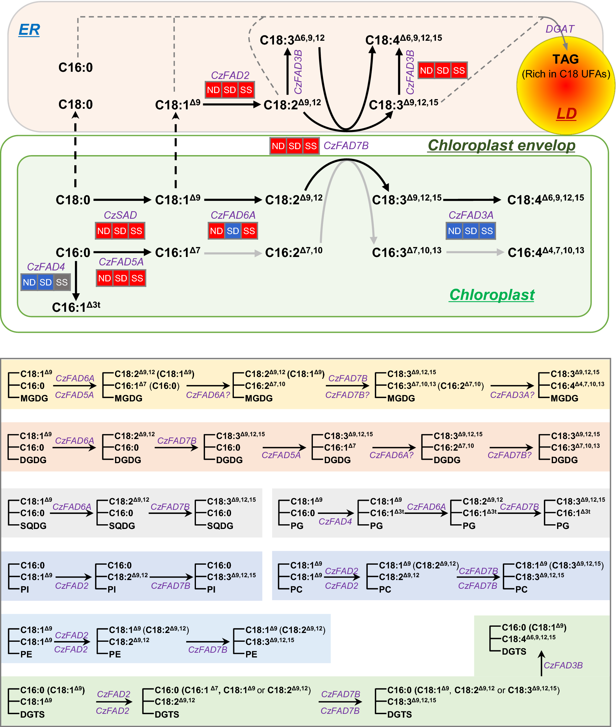 Fig. 10