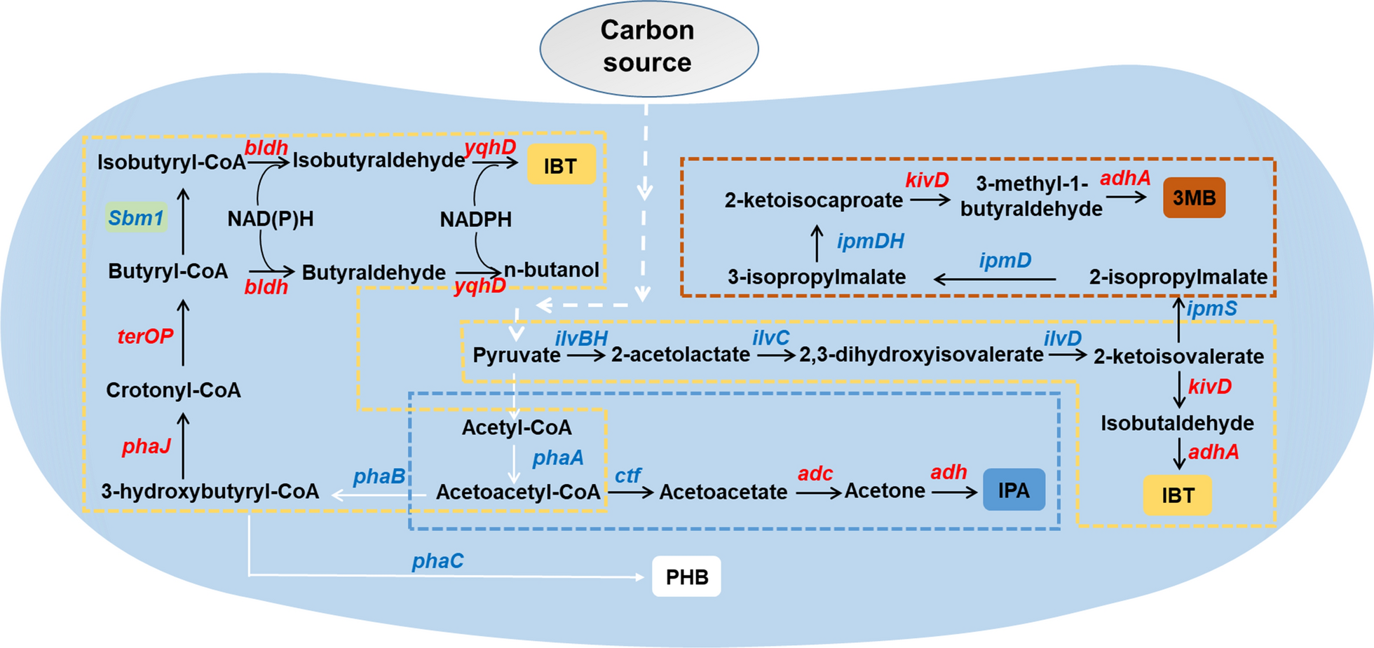 Fig. 3