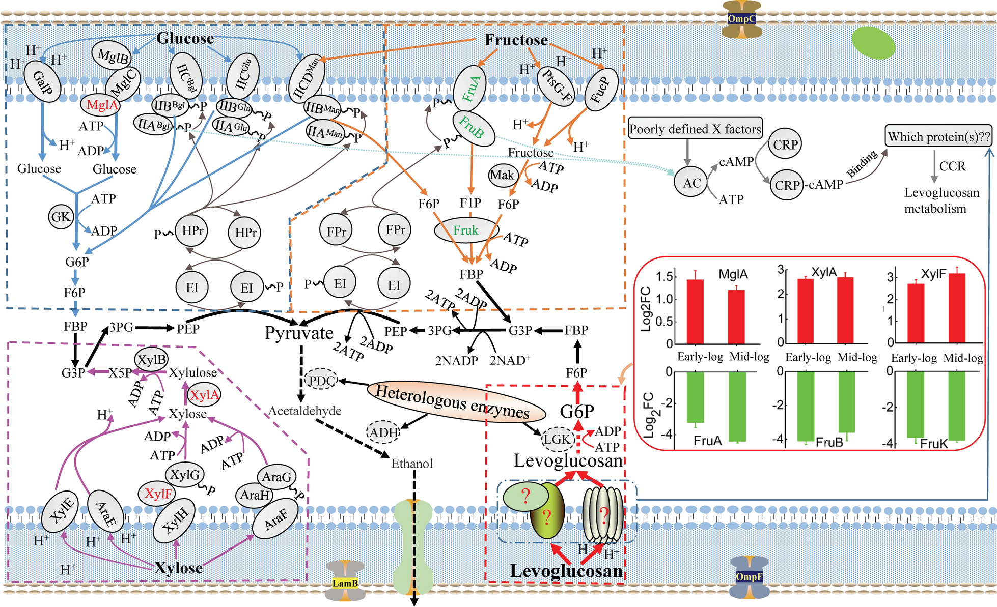 Fig. 2