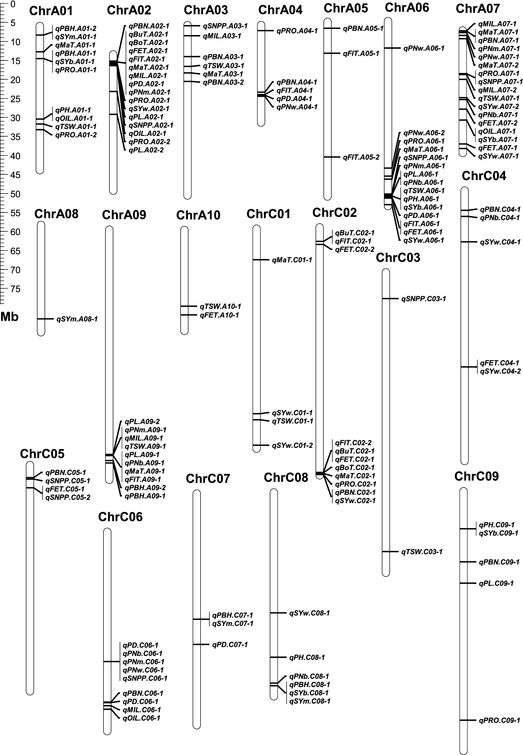 Fig. 5