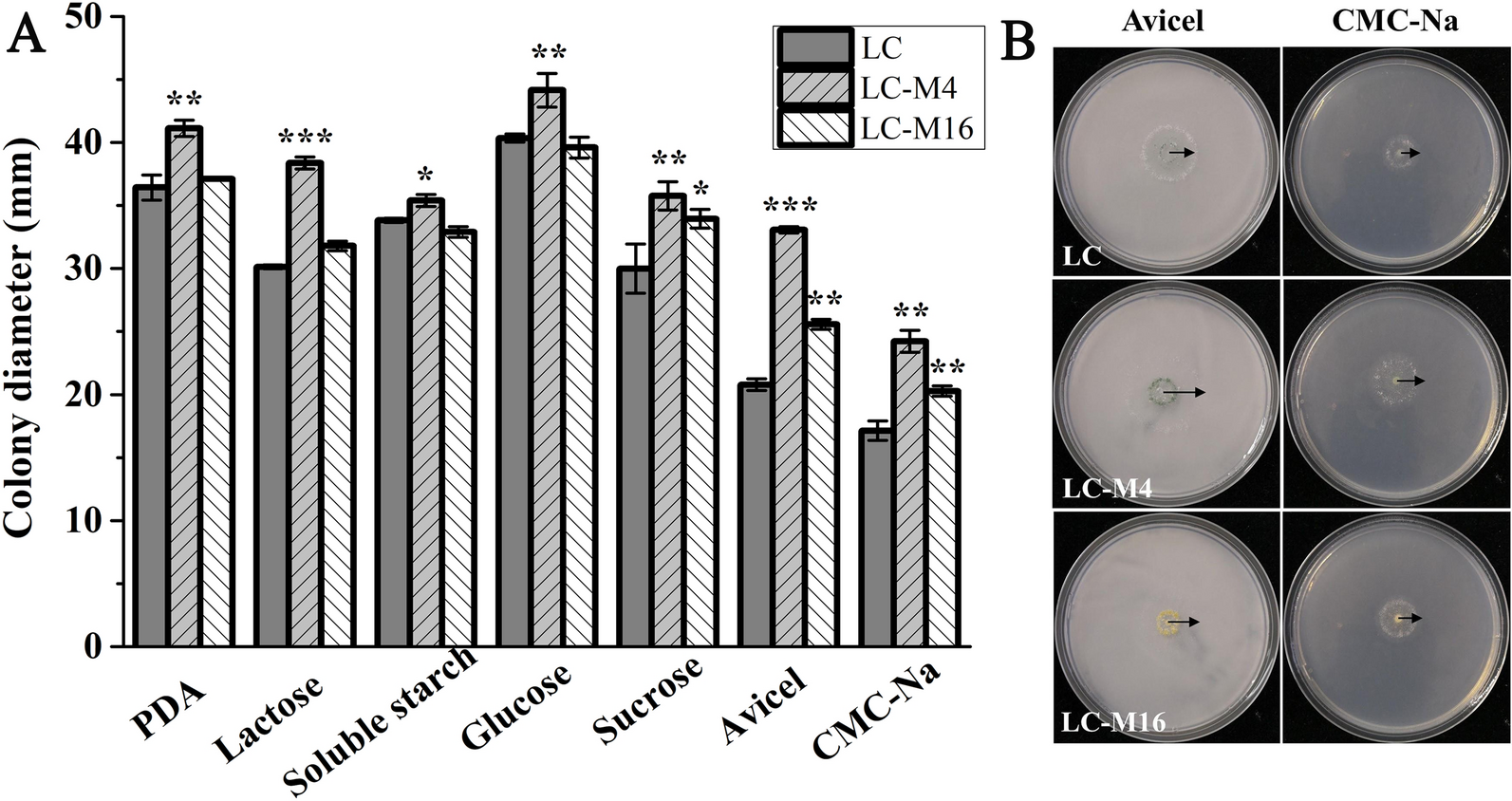 Fig.1