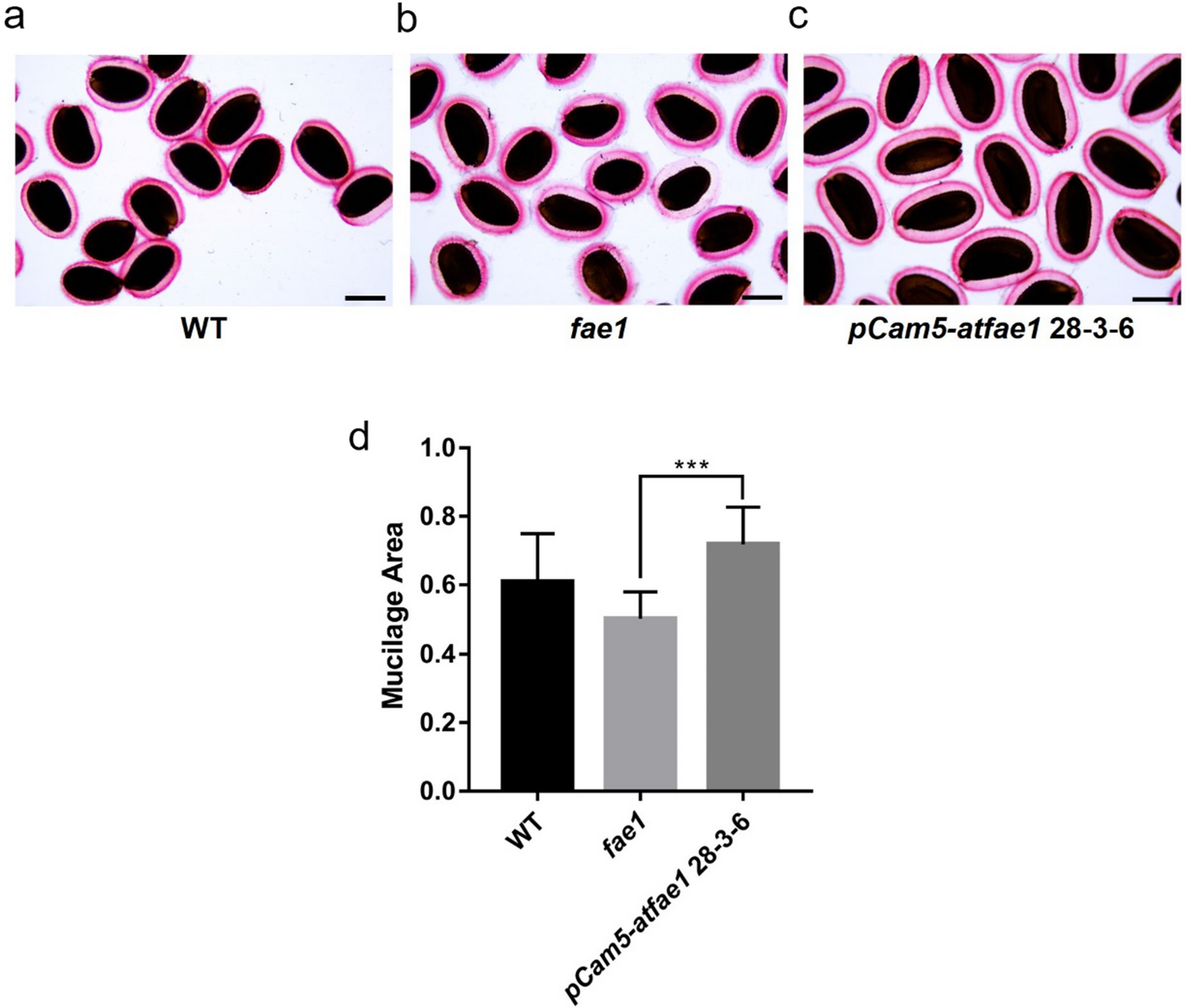 Fig. 10