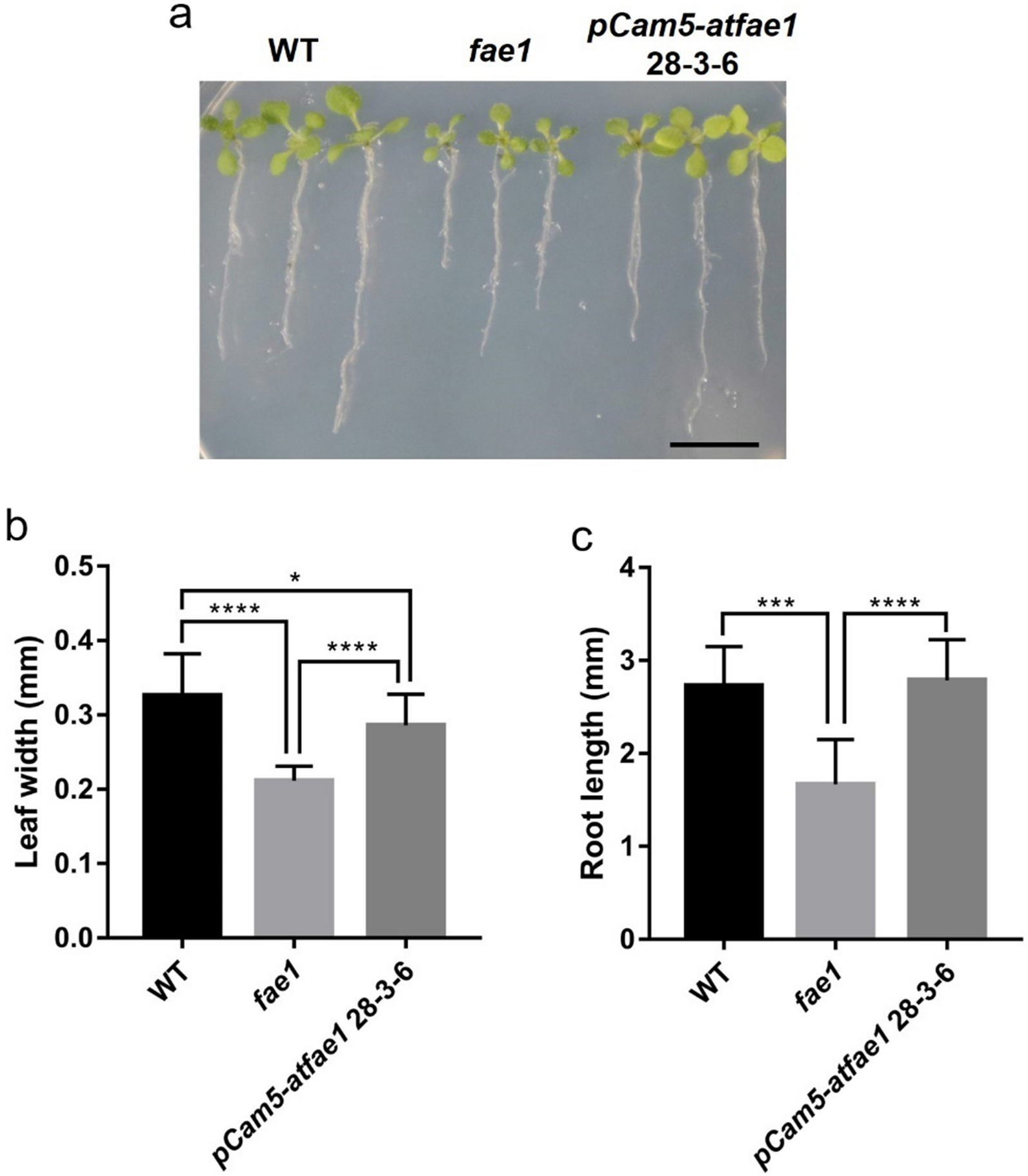 Fig. 9