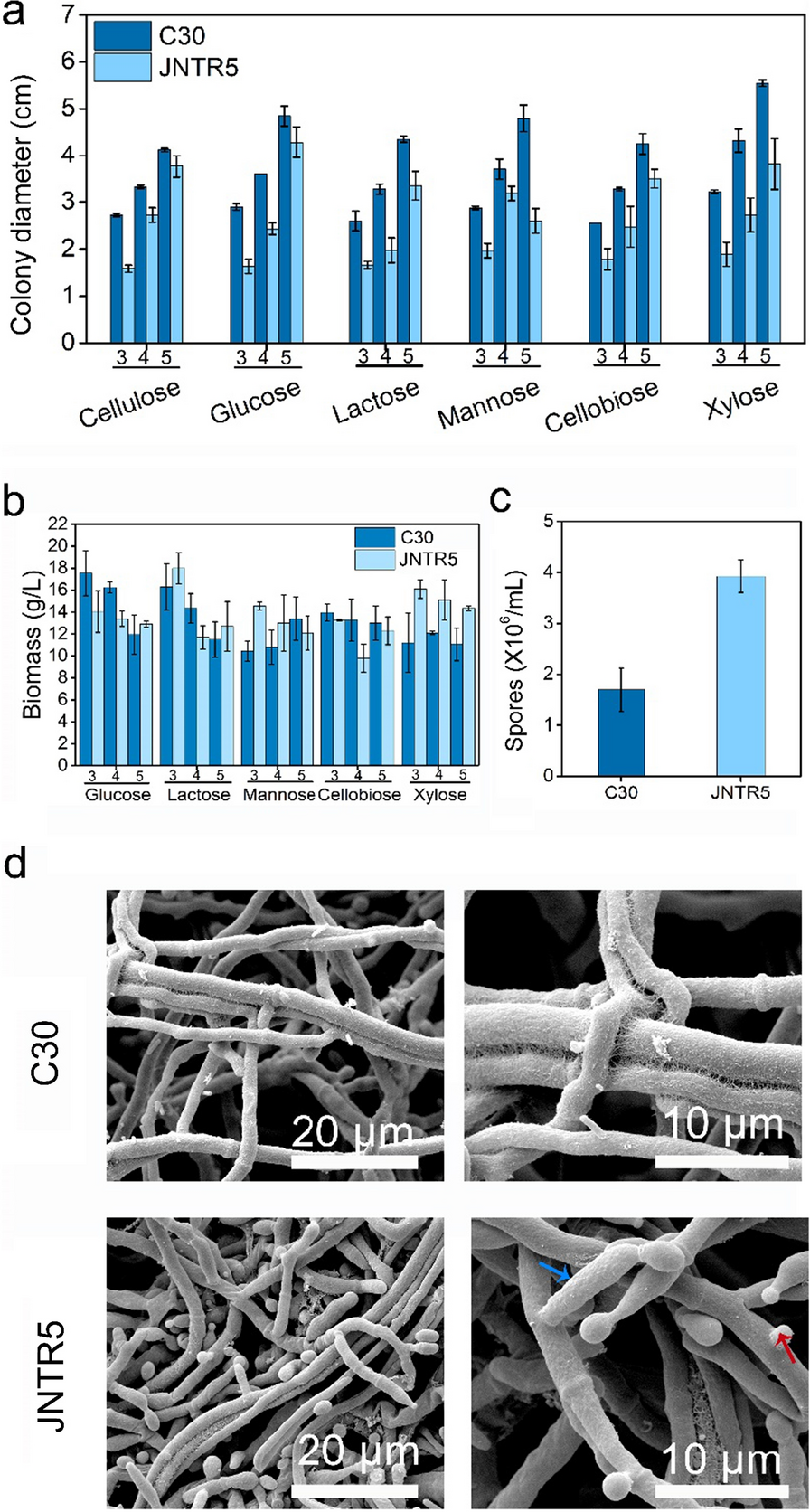 Fig. 4