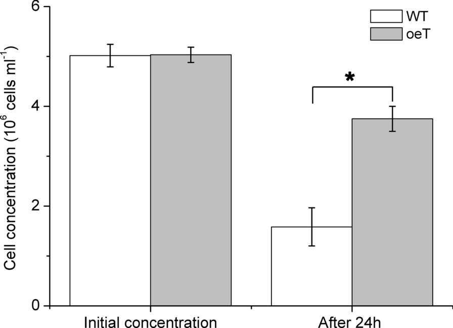 Fig. 7