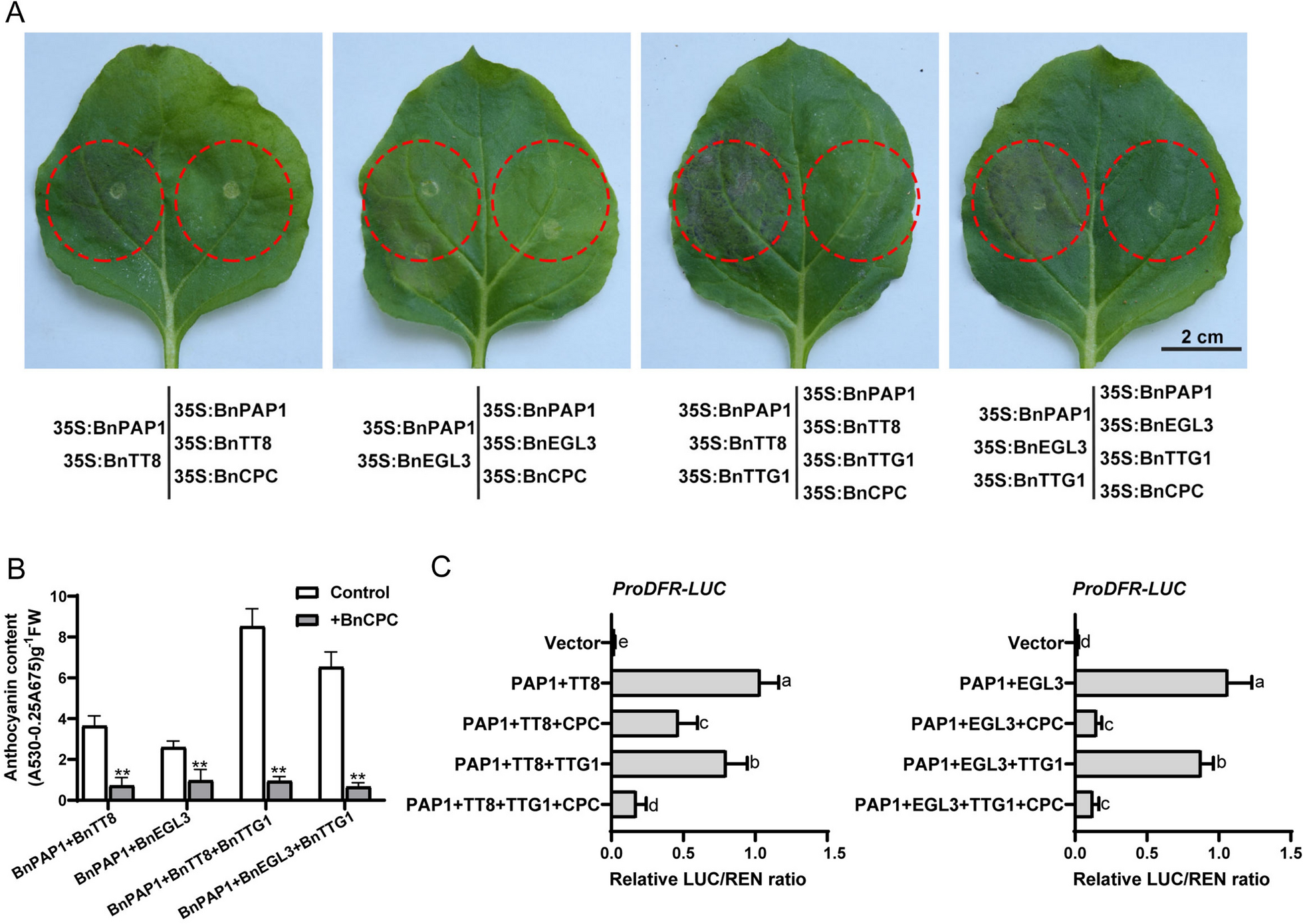 Fig. 4