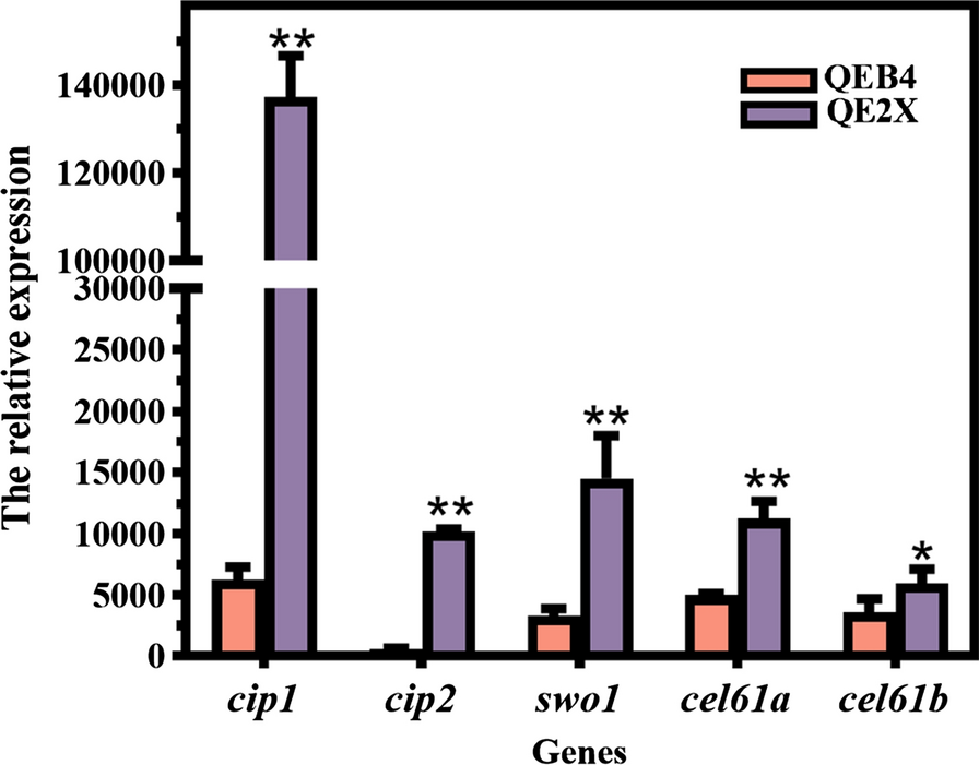 Fig. 8