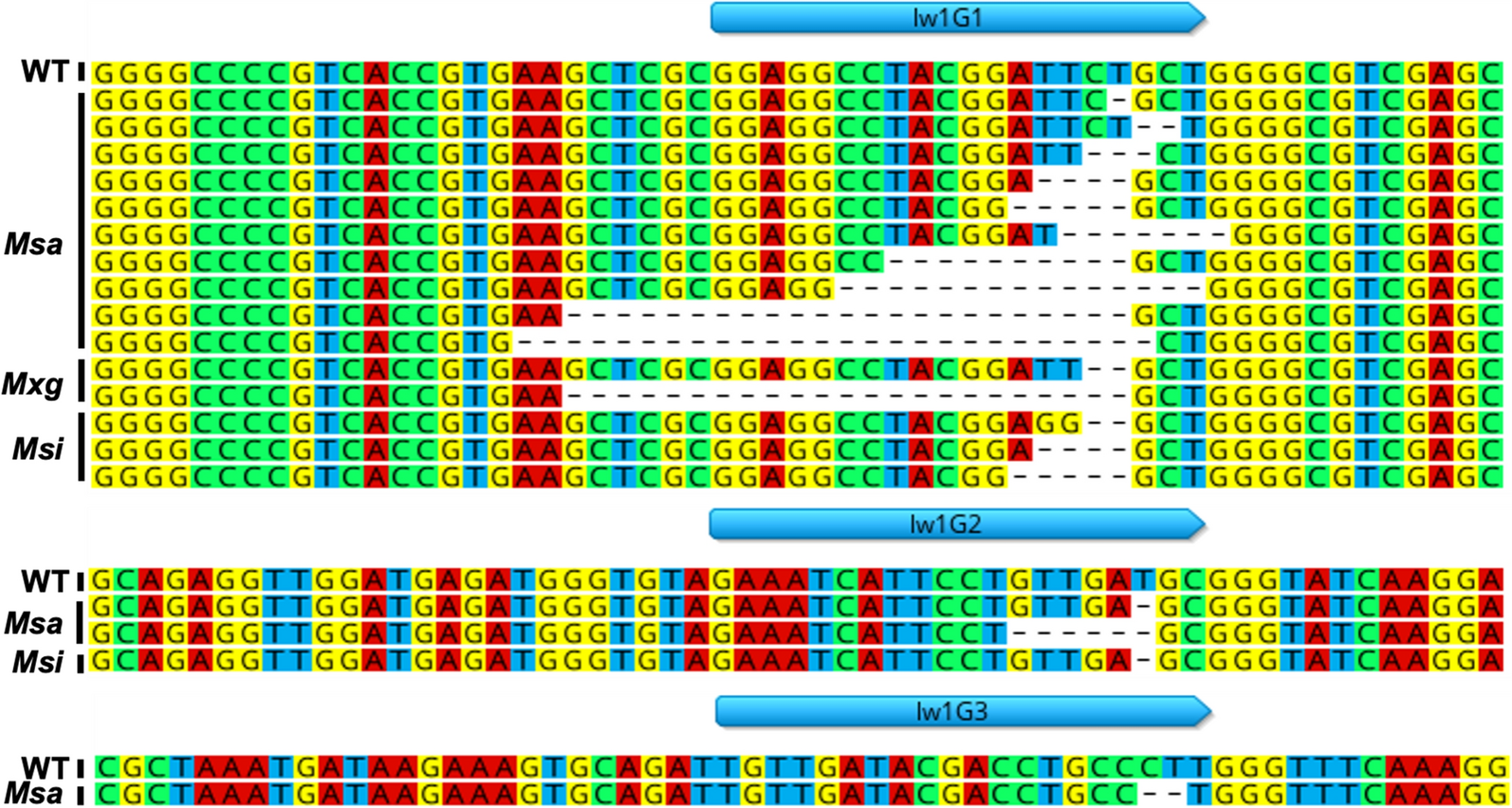 Fig. 4