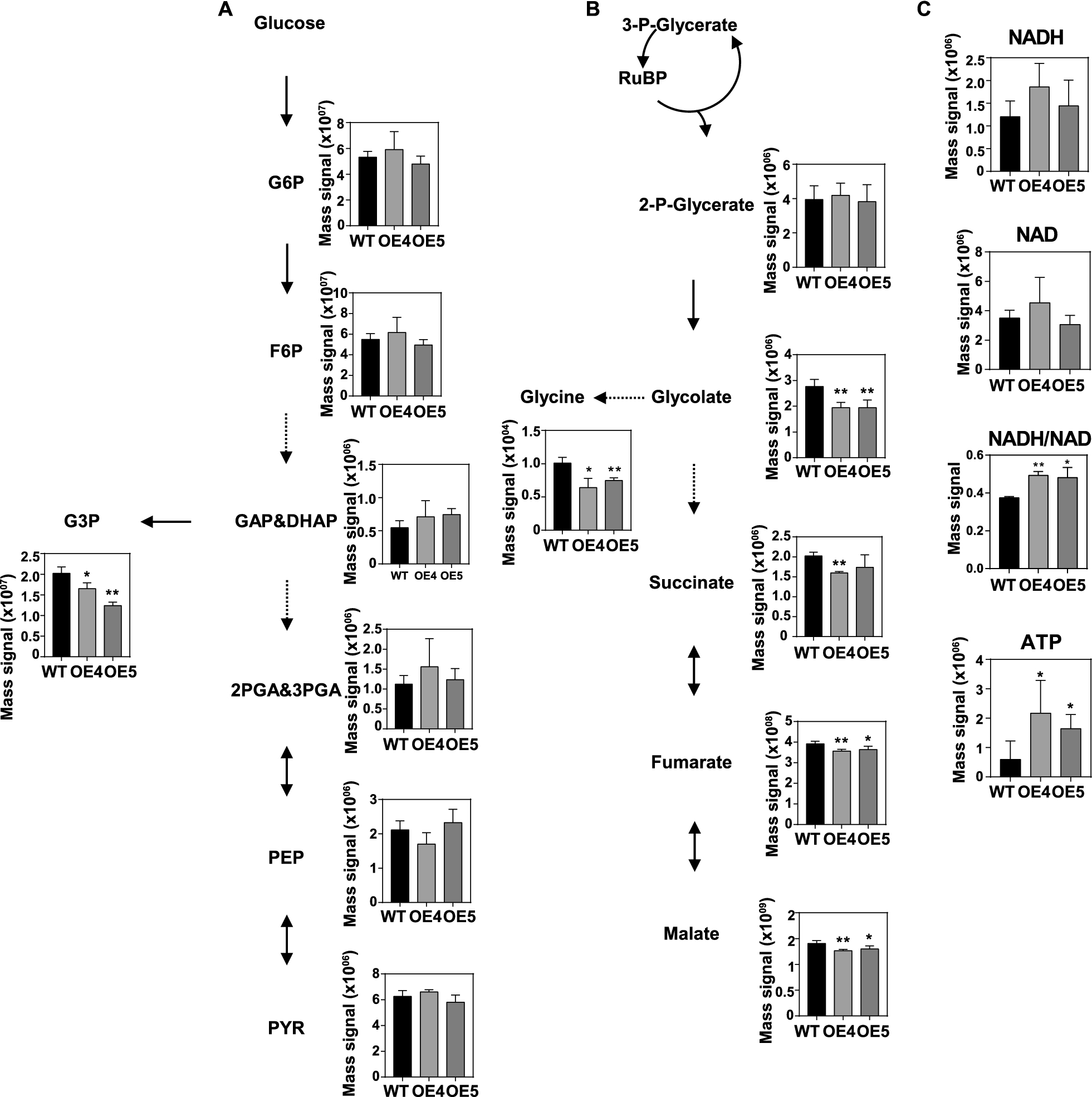 Fig. 10