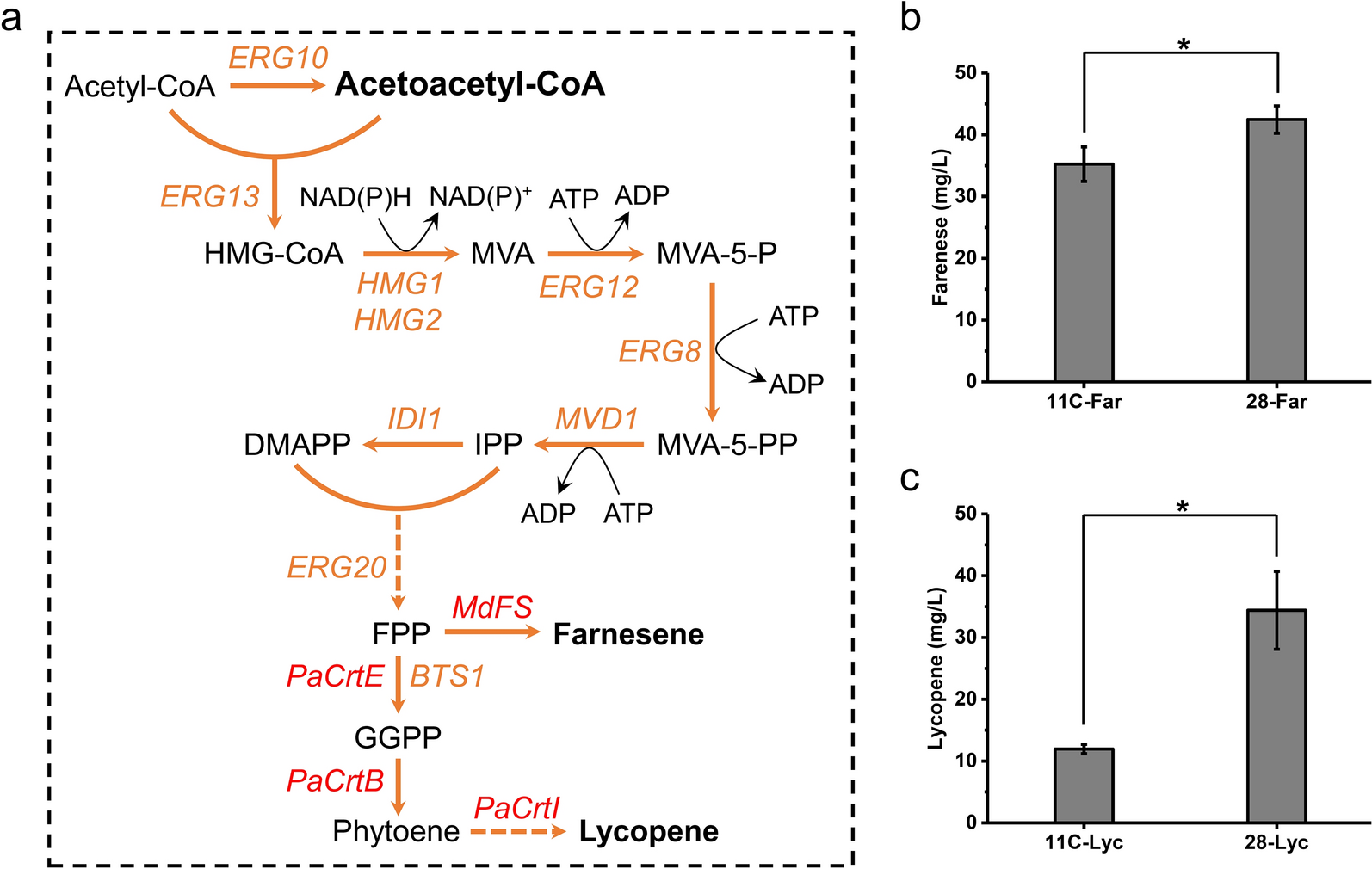 Fig. 4