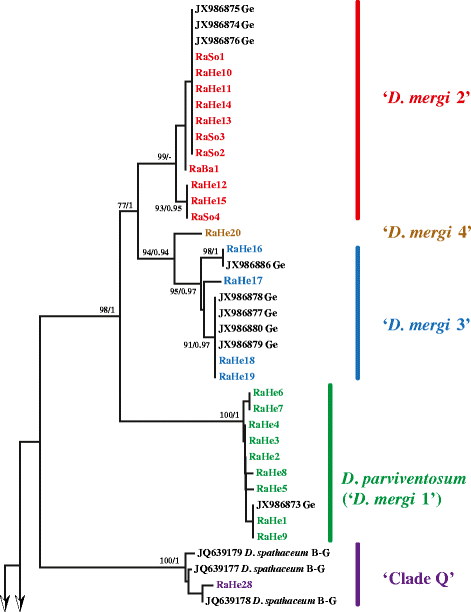 Fig. 2