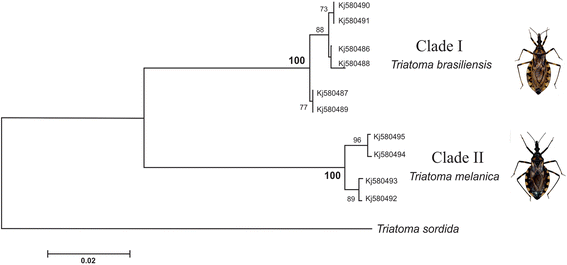 Fig. 5