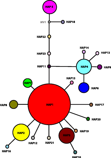 Fig. 2