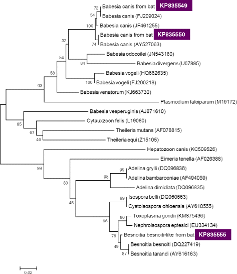 Fig. 2