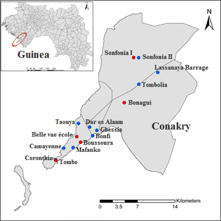 Fig. 1