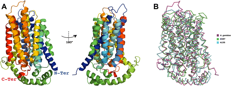 Fig. 6