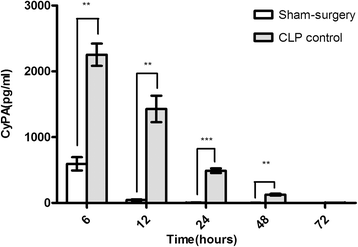 Fig 5