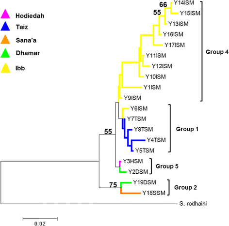 Fig. 4