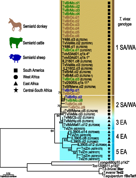 Fig. 4