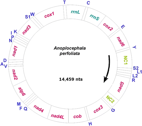 Fig. 1