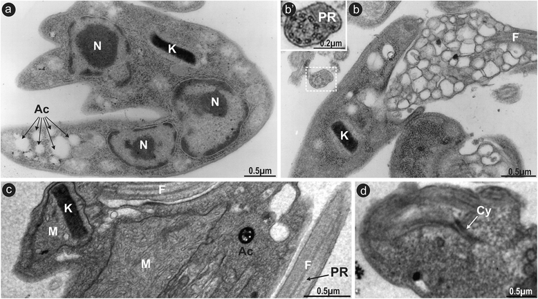 Fig. 8