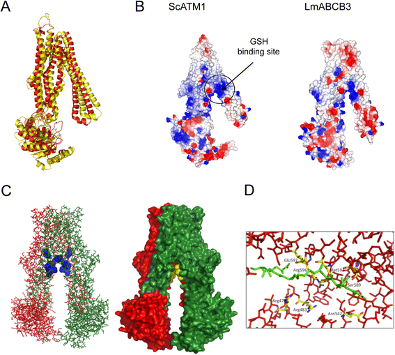 Fig. 8