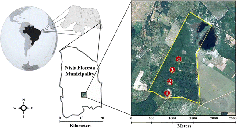 Fig. 1