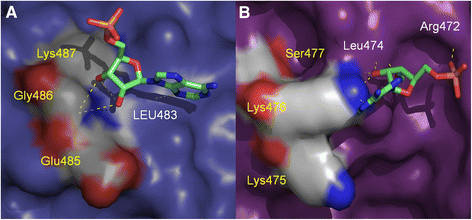 Fig. 7