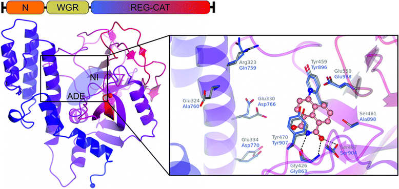 Fig. 2