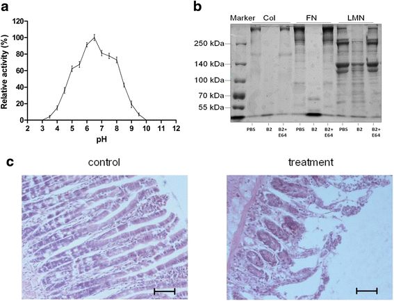 Fig. 5