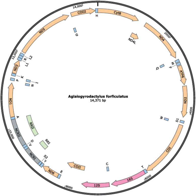 Fig. 1