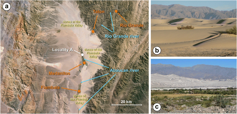 Fig. 9