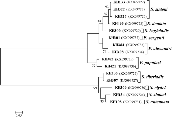 Fig. 5