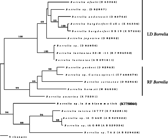 Fig. 3