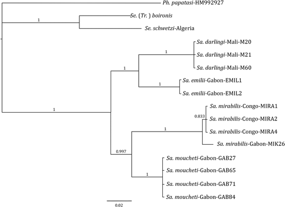 Fig. 3