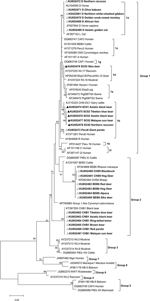 Fig. 1