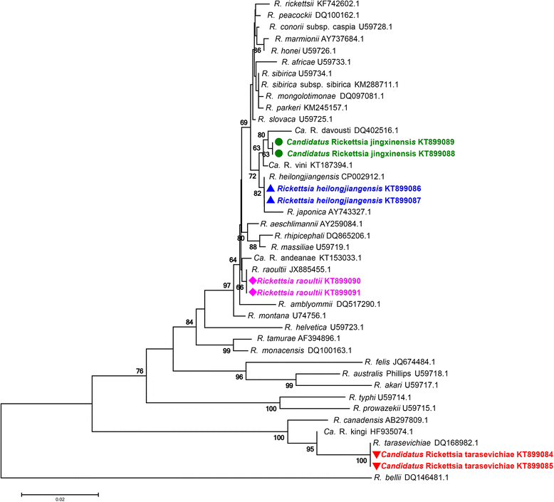 Fig. 2