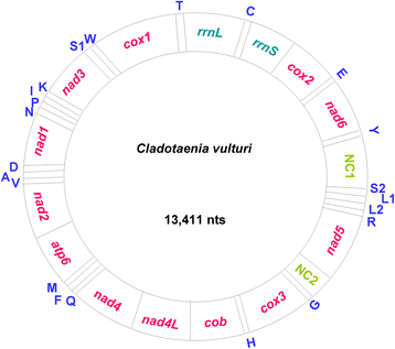 Fig. 1