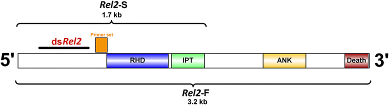 Fig 5