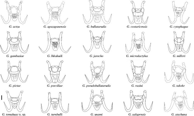 Fig. 5