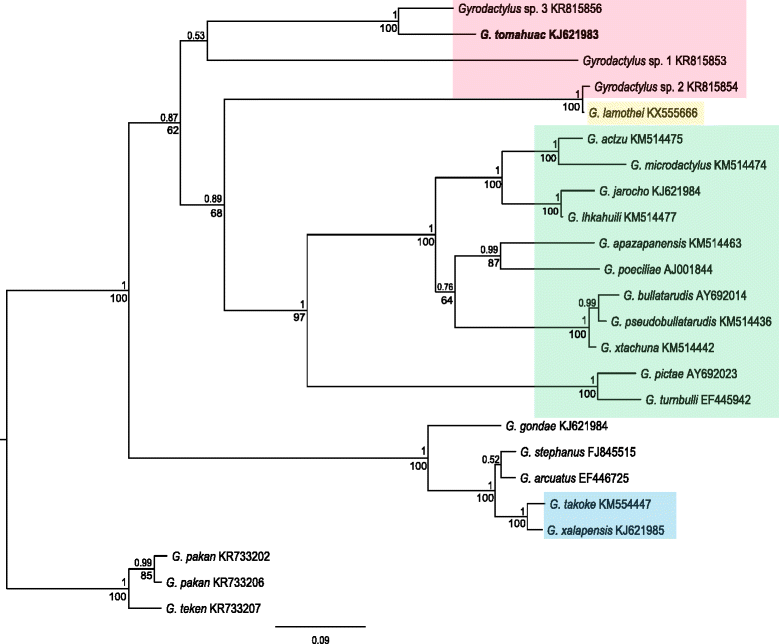 Fig. 6